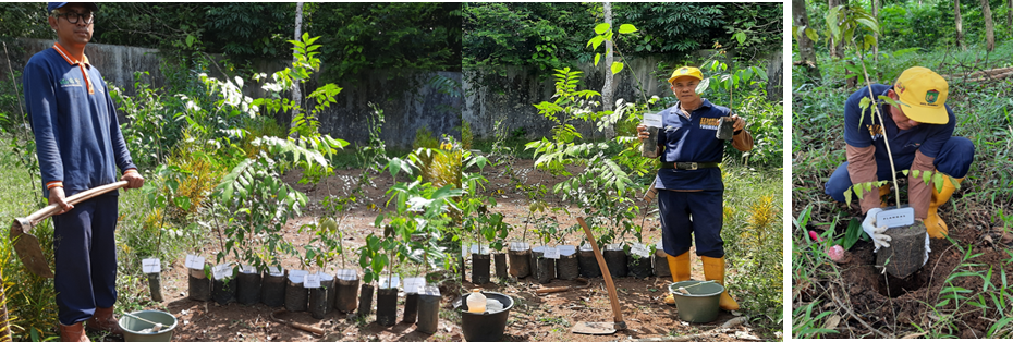 UPAYA PELESTARIAN TUMBUHAN ENDEMIK (TANAMAN LOKAL), SATWA LANGKA DAN DI LINDUNGI DI KAWASAN TAMAN KEANEKARAGAMAN HAYATI (KEHATI) UPAYA PELESTARIAN TUMBUHAN ENDEMIK (TANAMAN LOKAL), SATWA LANGKA DAN DI LINDUNGI DI KAWASAN TAMAN KEANEKARAGAMAN HAYATI (KEHATI)